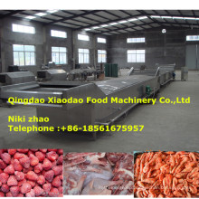 Thawing Machine for Frozen Meat, Sea Food, Fruit